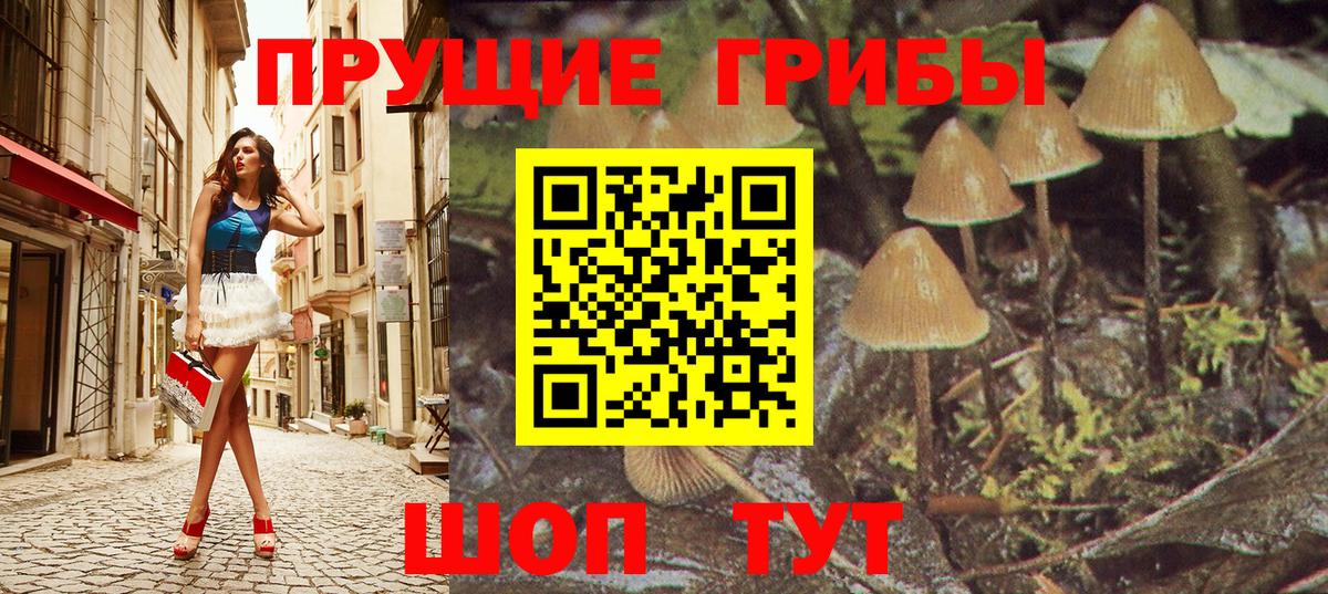 Галлюциногенные грибы Magic Shrooms  Вход с VPN  Полевской 