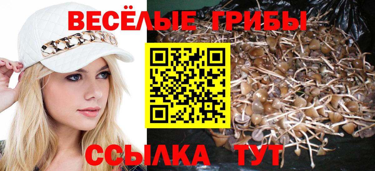 Псилоцибиновые грибы мухоморы Полевской